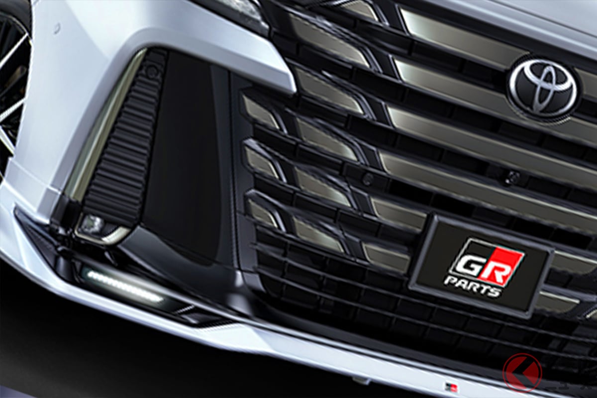 純正から進化したド迫力顔がイイ!