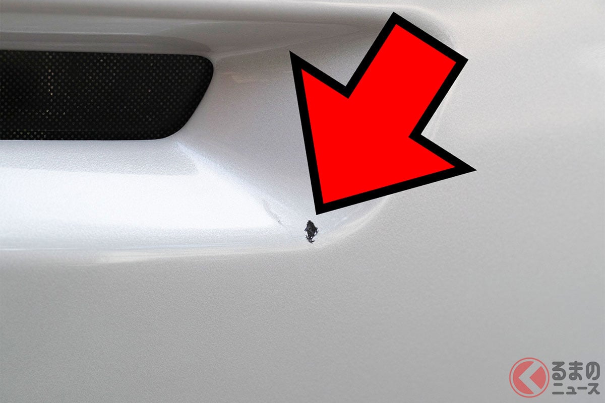 飛び石で傷つけた!早めの対処を(画像:PIXTA/イメージです)