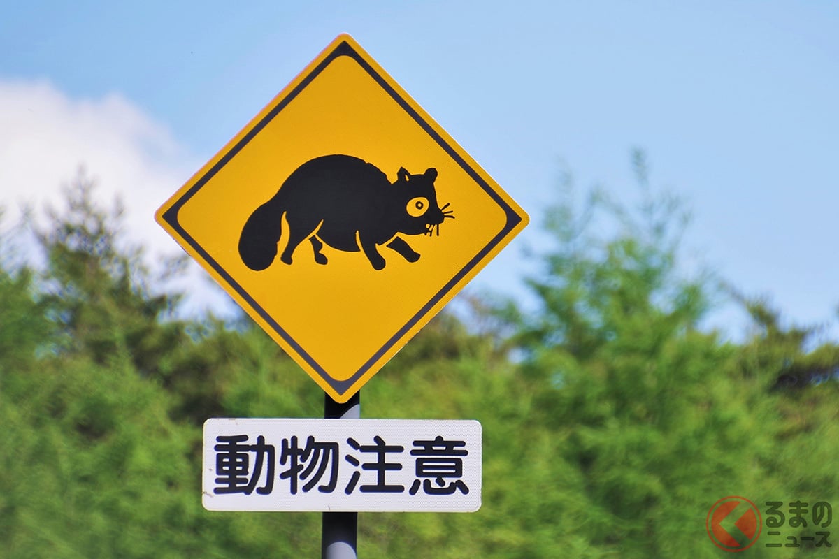 ロードキルが多発! 動物との事故が発生したらどうするべき?(画像はイメージ、amahide/PIXTA)