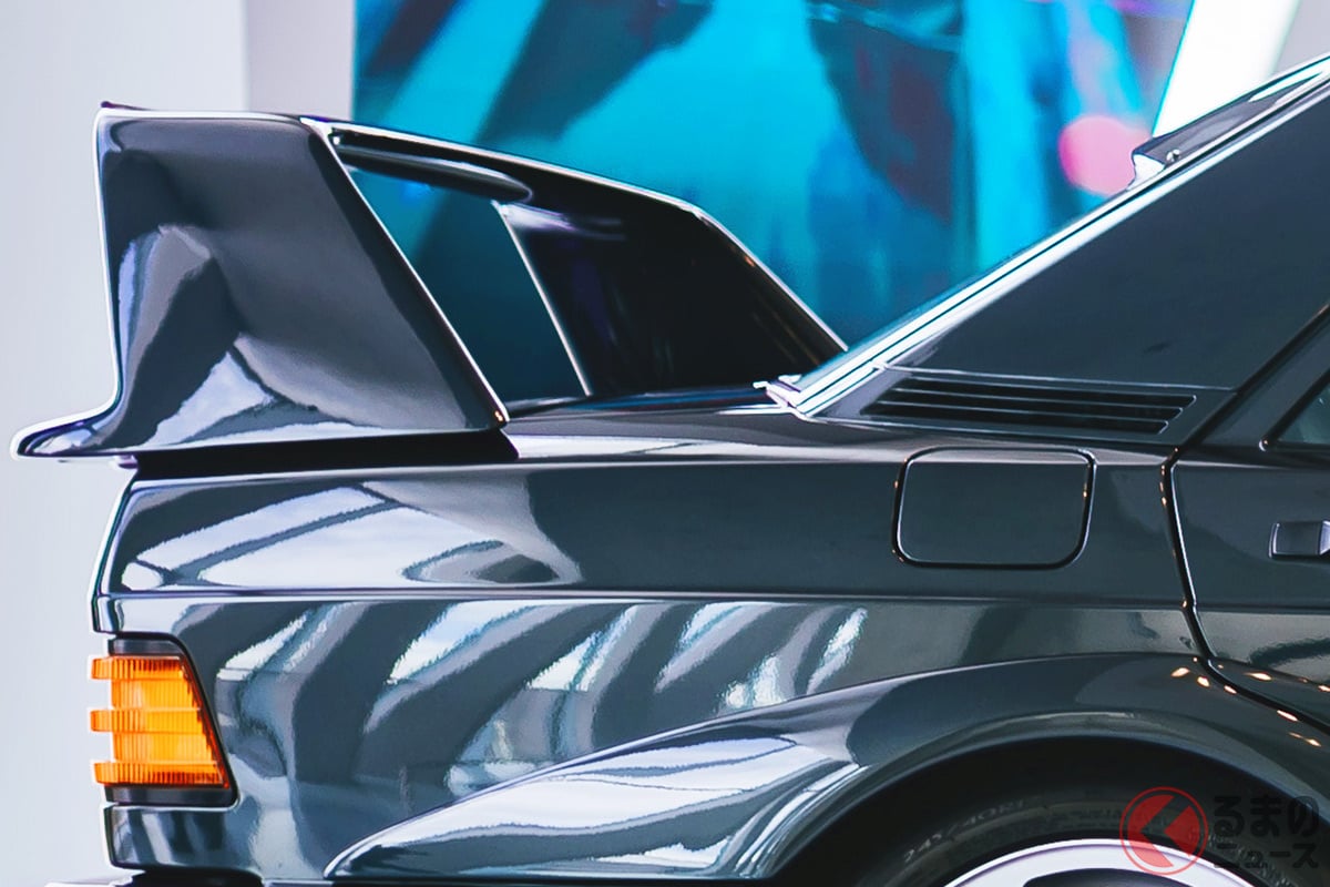 大型ウィング&ド迫力オーバーフェンダーがカッコいい!