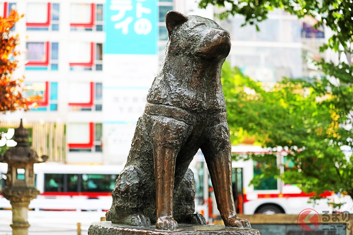 なぜ「秋田犬」ナンバー誕生? その誕生に迫る!(画像は秋田犬といえば、ハチ公!)