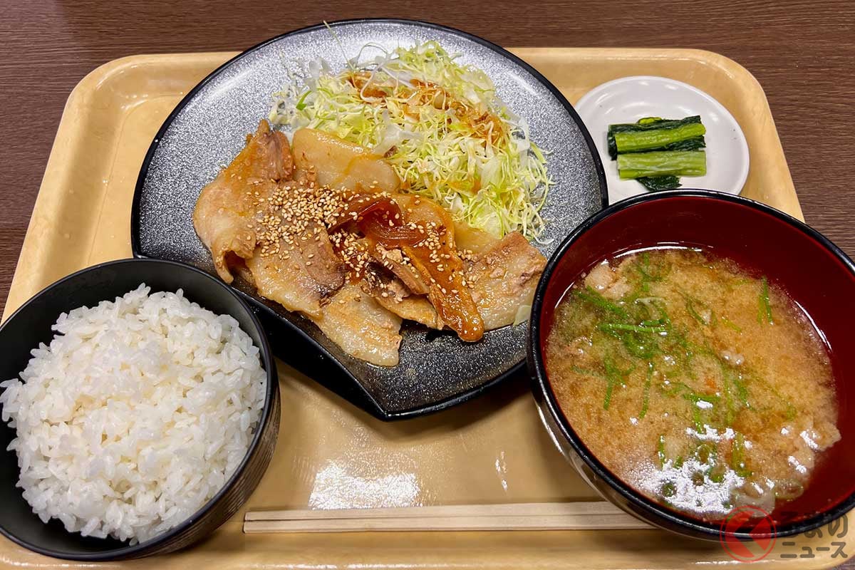 中央自動車道「諏訪湖SA」(上り)で、期間限定のキャンペーンメニュー「生姜焼き豚汁定食」(1120円)に出会った。信州産豚肉を使った生姜焼きと豚汁はボリューム感満点。少量の野沢菜でご当地感アップ