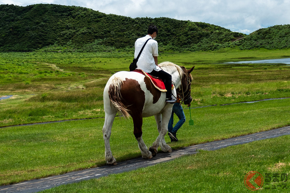 馬でドライブスルーは行ける? 区分は軽車両だけど…